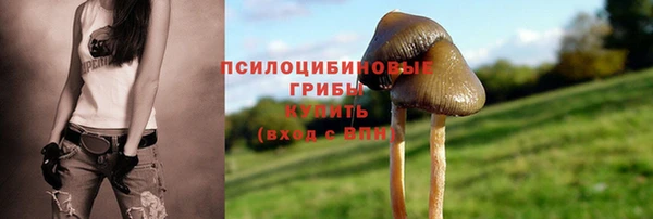 прущий лед Абаза